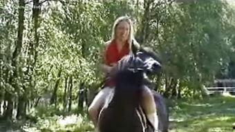 美女骑小马视频,美女与可爱小马的温馨互动